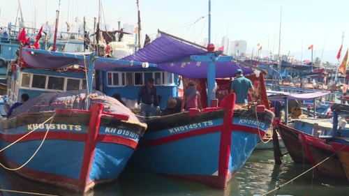 Phát triển tàu dịch vụ hậu cần nghề cá: Vẫn còn lắm khó khăn