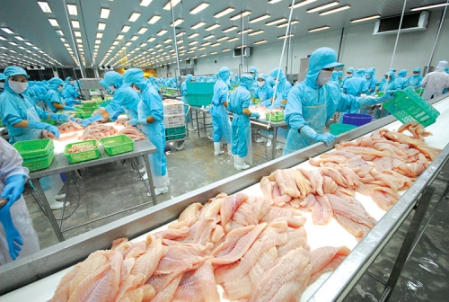 Thực trạng và triển vọng của ngành chế biến thủy sản