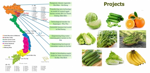 Cục An toàn thực phẩm đề nghị : Phối hợp xử lý sản phẩm vi phạm kinh doanh trên sàn thương mại điện tử