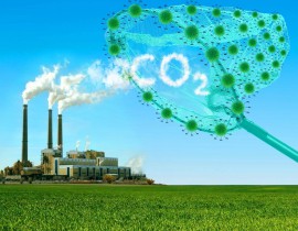 co2.jpg